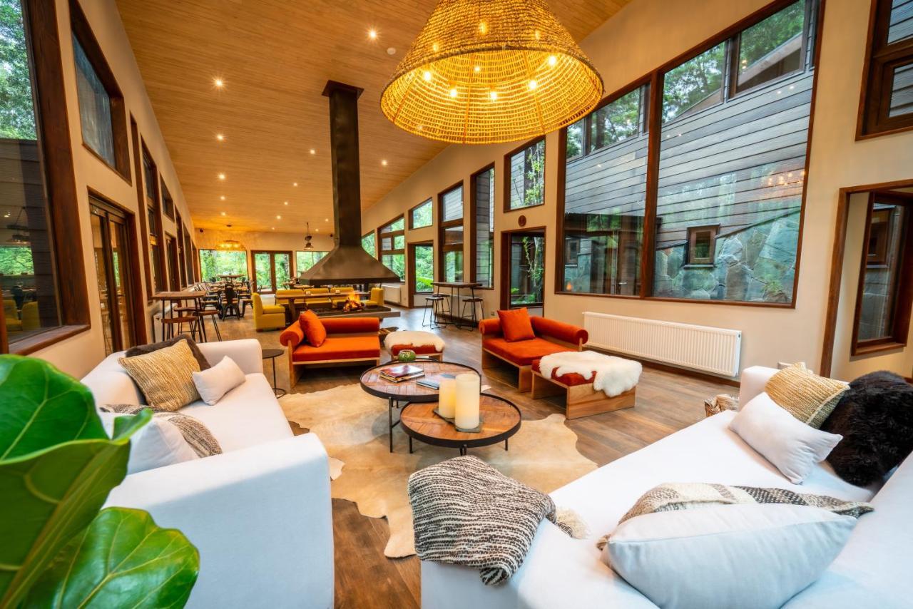 Rakau Lodge Pucón Kültér fotó